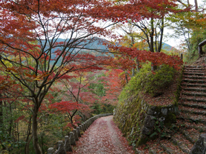 吉野山