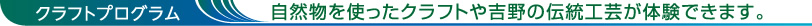 クラフトプログラム